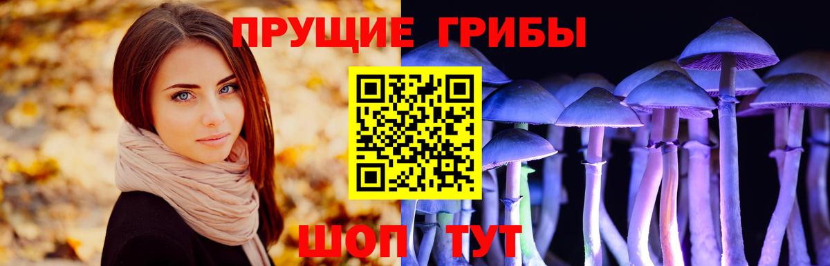 Псилоцибиновые грибы Psilocybe Екатеринбург